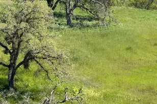 49 Cormorant Dr, Wallace, CA 95254 - Photo 1