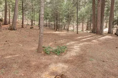 2387 Murphys Drive, Arnold, CA 95223 - Photo 6