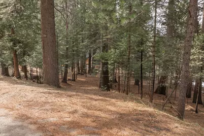 2387 Murphys Drive, Arnold, CA 95223 - Photo 8