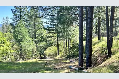 8719 Cave City Road, Mountain Ranch, CA 95246 - Photo 8