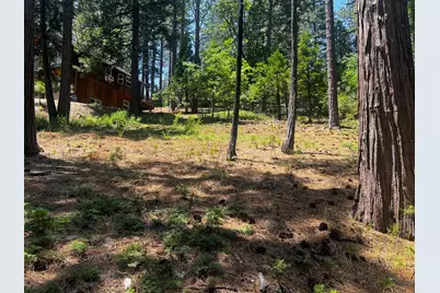 2904 Venado Drive, Arnold, CA 95223 - Photo 1
