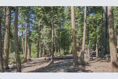403 Sierra Parkway, Camp Connell, CA 95223 - Photo 6