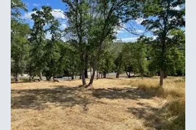 362 Blair Mine, Angels Camp, CA 95222 - Photo 6