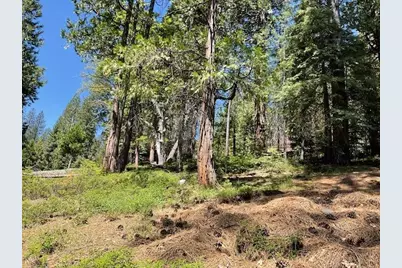 1474 Moran Road, Arnold, CA 95223 - Photo 2