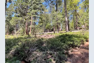1474 Moran Road, Arnold, CA 95223 - Photo 4