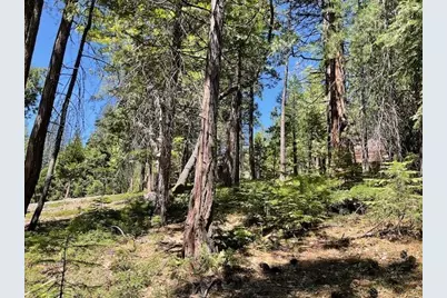 1474 Moran Road, Arnold, CA 95223 - Photo 6