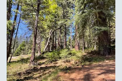 1474 Moran Road, Arnold, CA 95223 - Photo 6