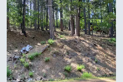 2946 Venado Drive, Arnold, CA 95223 - Photo 1