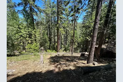 487 Canyon View Drive, Hathaway Pines, CA 95233 - Photo 2