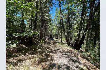 487 Canyon View Drive, Hathaway Pines, CA 95233 - Photo 4