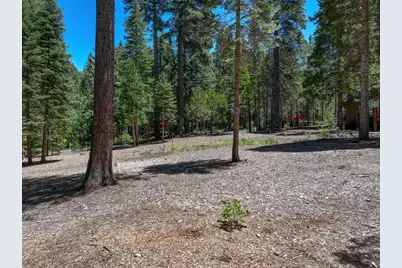 3380 El Camino Boot Strap, Valley Springs, CA 95223 - Photo 6