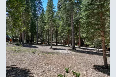 3380 El Camino Boot Strap, Valley Springs, CA 95223 - Photo 4