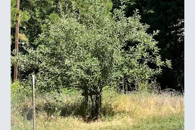 0 Crestview Drive, Murphys, CA 95247 - Photo 30