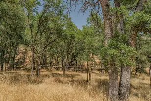 1436 Papoose Dr, Copperopolis, CA 95228 - Photo 62