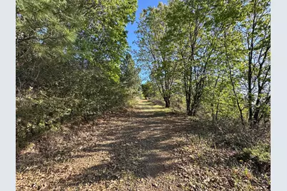 4022 Sheep Ranch, Murphys, CA 95247 - Photo 74