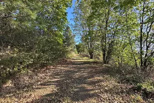 4022 Sheep Ranch, Murphys, CA 95247 - Photo 74