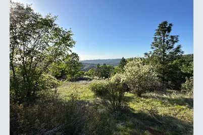 4022 Sheep Ranch, Murphys, CA 95247 - Photo 76