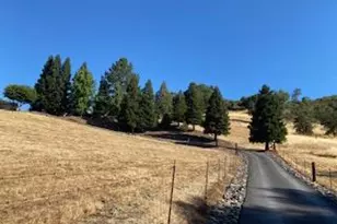 2661 Murraydale Ln, San Andreas, CA 95249 - Photo 22