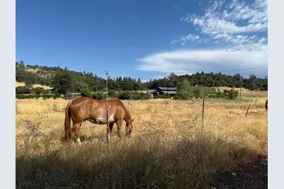 1026 Coyote Creek Road, Murphys, CA 95247 - Photo 34