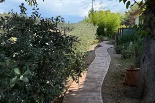 1026 Coyote Crk Rd, Murphys, CA 95247 - Photo 34