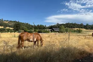 1026 Coyote Crk Rd, Murphys, CA 95247 - Photo 32