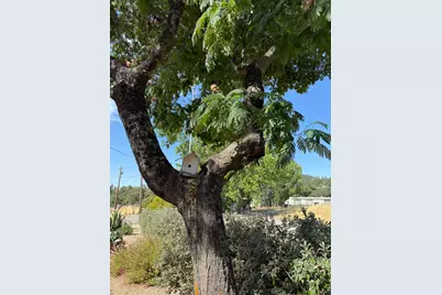 1026 Coyote Creek Road, Murphys, CA 95247 - Photo 32