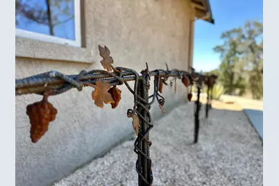 300 Bridlewood Lane, Copperopolis, CA 95228 - Photo 68