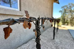 300 Bridlewood Ln, Copperopolis, CA 95228 - Photo 68