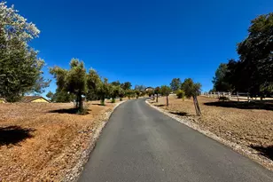 300 Bridlewood Ln, Copperopolis, CA 95228 - Photo 72