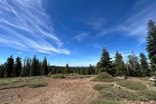 60 Liberty Rd, Dorrington, CA 95223 - Photo 44