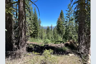 39 Liberty Road, Valley Springs, CA 95223 - Photo 8