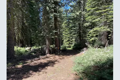 2 Blue Rock Trail, Dorrington, CA 95223 - Photo 16