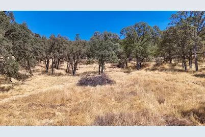 1560 Pinto Dr, Angels Camp, CA 95222 - Photo 46