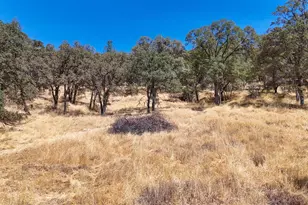 1560 Pinto Dr, Angels Camp, CA 95222 - Photo 46