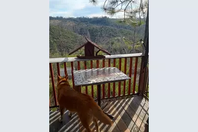 16140 Baker Riley Road, Mokelumne Hill, CA 95245 - Photo 4