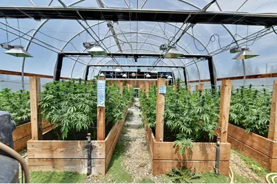 6640 Railroad Flat Road, Mountain Ranch, CA 95246 - Photo 46