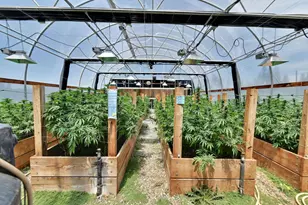 6640 Railroad Flat Rd, Mountain Ranch, CA 95246 - Photo 46