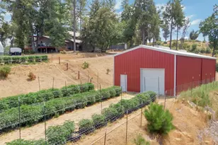 6640 Railroad Flat Rd, Mountain Ranch, CA 95246 - Photo 34
