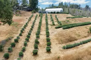 6640 Railroad Flat Rd, Mountain Ranch, CA 95246 - Photo 38