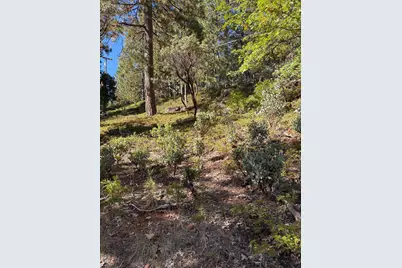 1984 Pine Cone Drive, Arnold, CA 95223 - Photo 1