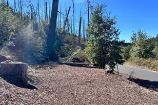 10210 E Murray Creek Rd, Mountain Ranch, CA 95246 - Photo 4