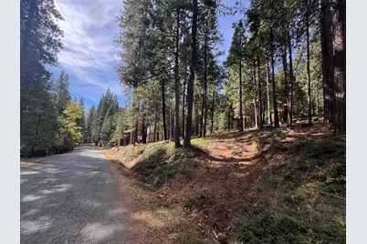 646 Dean Way, Arnold, CA 95223 - Photo 2