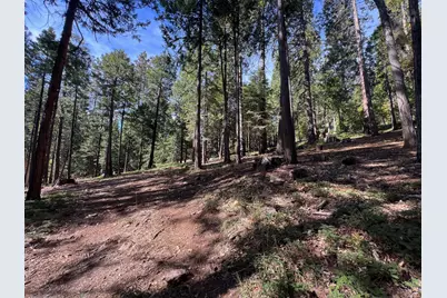 646 Dean Way, Arnold, CA 95223 - Photo 4