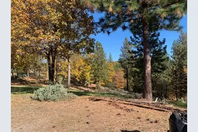 271 Sierra Madre Road, Rail Road Flat, CA 95248 - Photo 8