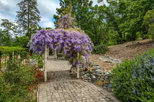 2857 Butte Mountain Rd, Murphys, CA 95247 - Photo 38