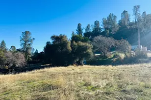 699 Weather Top, Mountain Ranch, CA 95246 - Photo 10