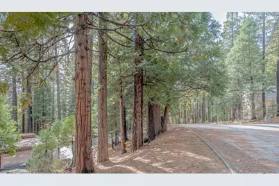 1002 Manuel Road, Arnold, CA 95223 - Photo 28