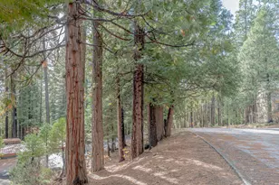 1002 Manuel Rd, Arnold, CA 95223 - Photo 28