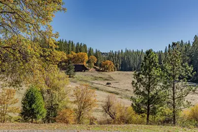 1011 McCarthy Reservoir Road, Rail Road Flat, CA 95248 - Photo 18
