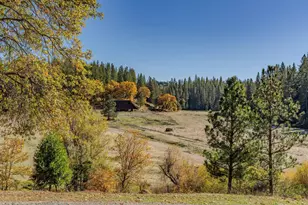 1011 McCarthy Reservoir Rd, Rail Road Flat, CA 95248 - Photo 18